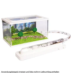 Ameisen-Formicarium aus Kunststoff, mit Neststation und Arena