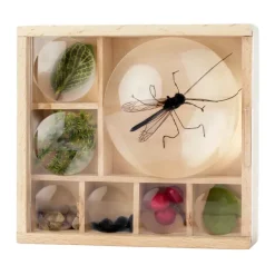 Aufbewahrungs-Box "Mein Insekten- und Naturschätze-Museum", 10,6x11,5 cm