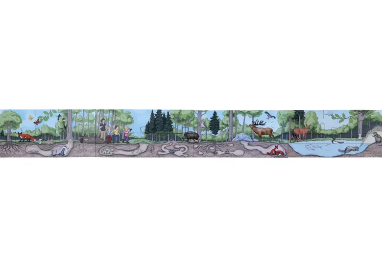 beleduc Boden-Puzzle "Wald entdecken", 40-tlg.