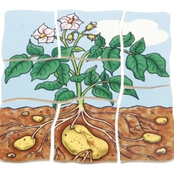 beleduc Schichten-Puzzle "Kartoffel", 30-tlg.