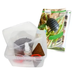 Beobachtungs-Set 