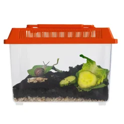 Beobachtungs-Set "Schnecken", 5-tlg.