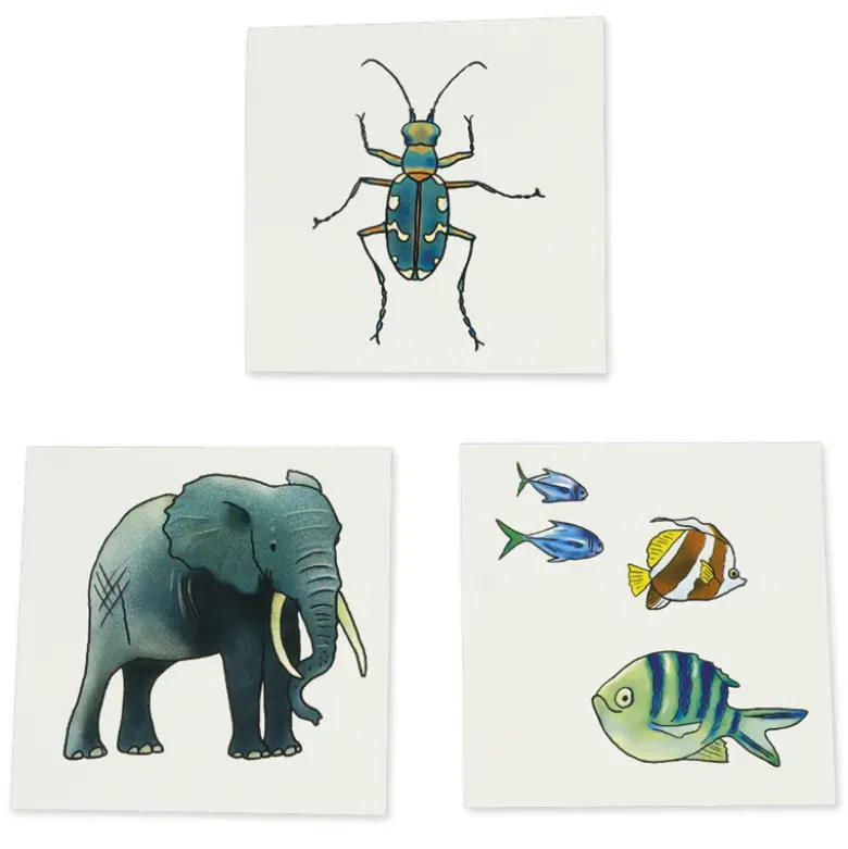 Bilderbox "Vocabular Tiere, Pflanzen, Natur"