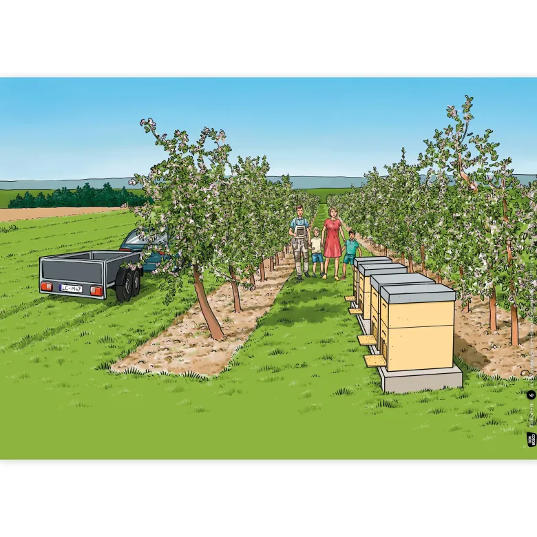 Bildergeschichten-Karten "Von fleißigen Bienen und leckerem Honig", 12-tlg.