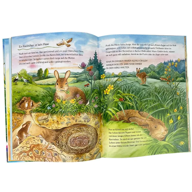 Buch "Der kleine Marienkäfer und die Tiere auf der Wiese", 32 Seiten