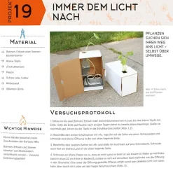 Buch 