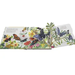 Buch "Wo kommst du her, kleiner Schmetterling? Mein Pop-up-Buch zum Staunen", 12 Seiten