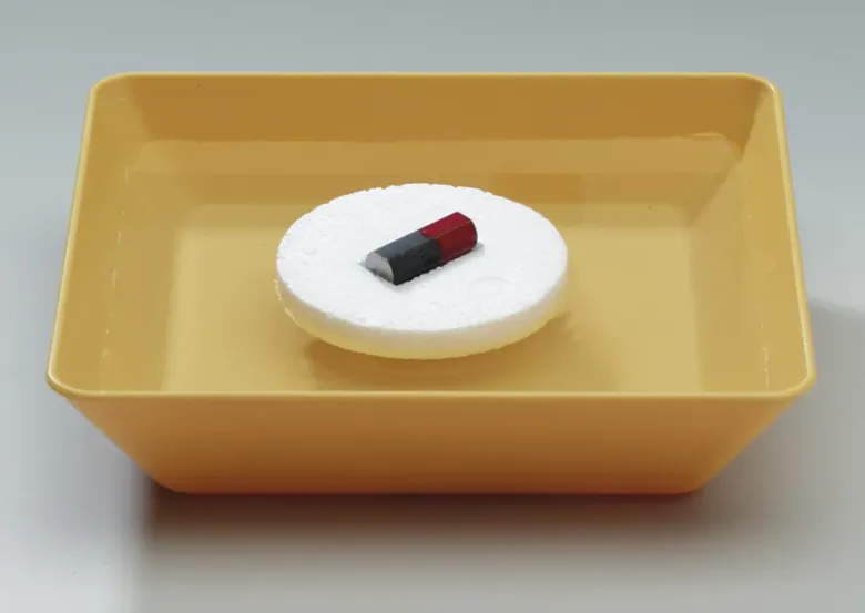 Cornelsen Experimentier-Set Magnet und Kompass
