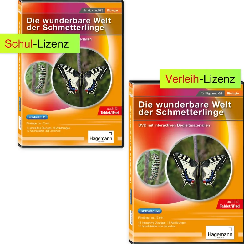 Didaktische DVD "Die wunderbare Welt der Schmetterlinge", tabletfähig