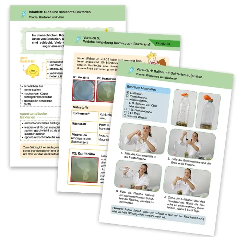 Experimentier-Box "Bakterien und Viren", 12-tlg.