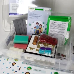 Experimentier-Box "Infektionsschutz", 81-tlg.