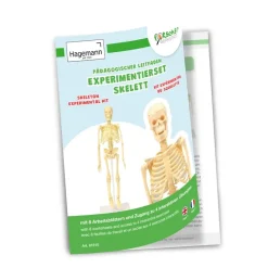 Experimentier-Set "Skelett", 17-tlg.
