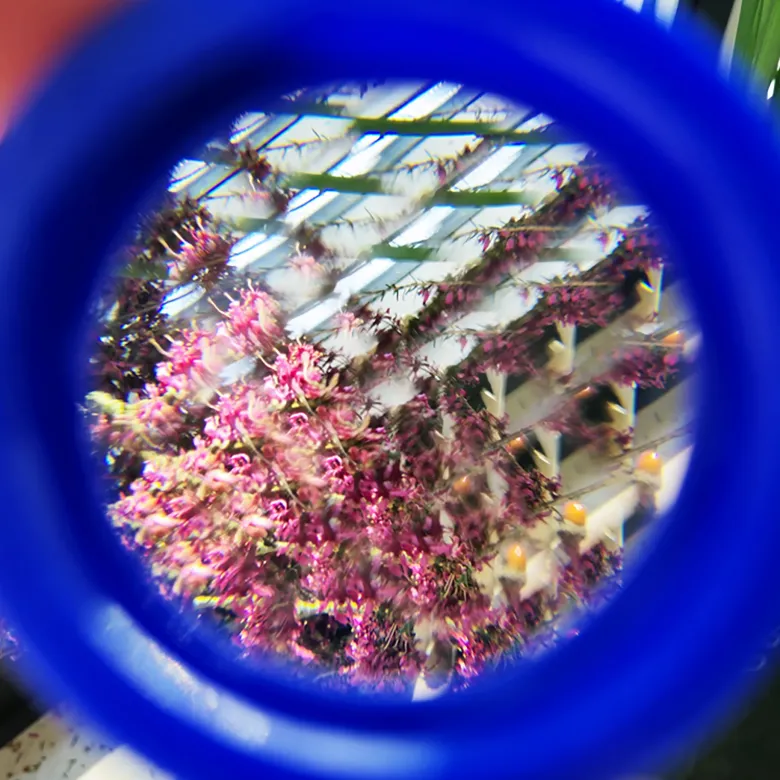 Facetten-Linse, 45 mm ø