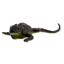Farbwechselnde Eidechse, 12x5 cm