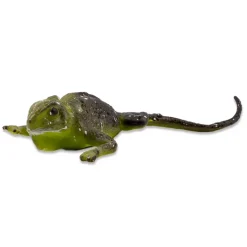 Farbwechselnde Eidechse, 12x5 cm