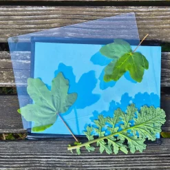 Foto-Solarpapier A5, mit Fixierscheibe, 20 Blatt