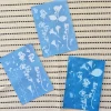 Foto-Solarpapier A5, mit 2 Fixierscheiben, 40 Blatt