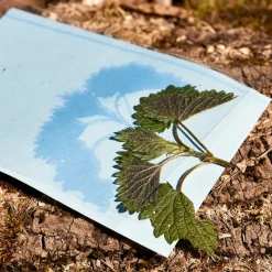 Foto-Solarpapier A5, mit 2 Fixierscheiben, 40 Blatt
