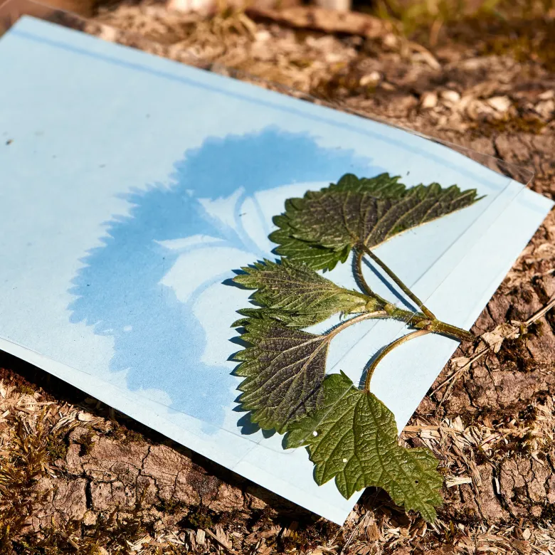Foto-Solarpapier A5, mit 2 Fixierscheiben, 40 Blatt