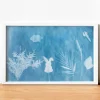 Foto-Solarpapier maxi, 43x27 cm, 20 Blatt