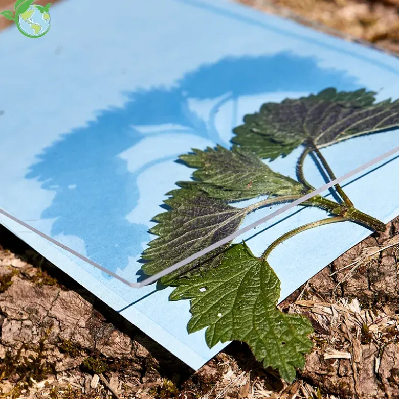 Foto-Solarpapier 178x127 mm, mit Fixierscheibe, 40 Blatt