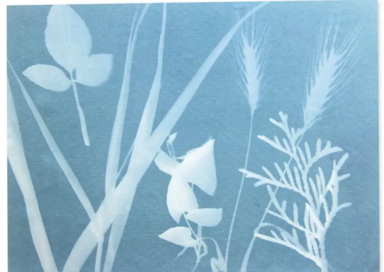Foto-Solarpapier 178x127 mm, mit Fixierscheibe, 40 Blatt