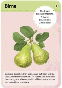 50 Garten- & Feldpflanzen entdecken und bestimmen