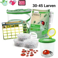 Gruppen-Projektset "Marienkäfer", 9-tlg.