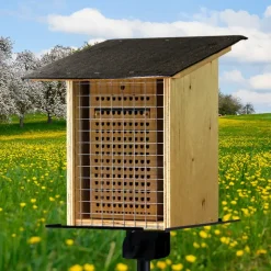 Gruppen-Projektset "Wildbienen", Rote Mauerbiene, 10-tlg.