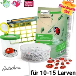 Gutschein-Set