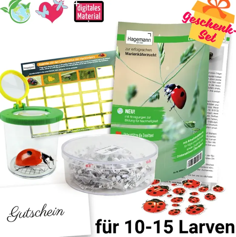 Gutschein-Set "Marienkäfer", kompakt, 5-tlg.