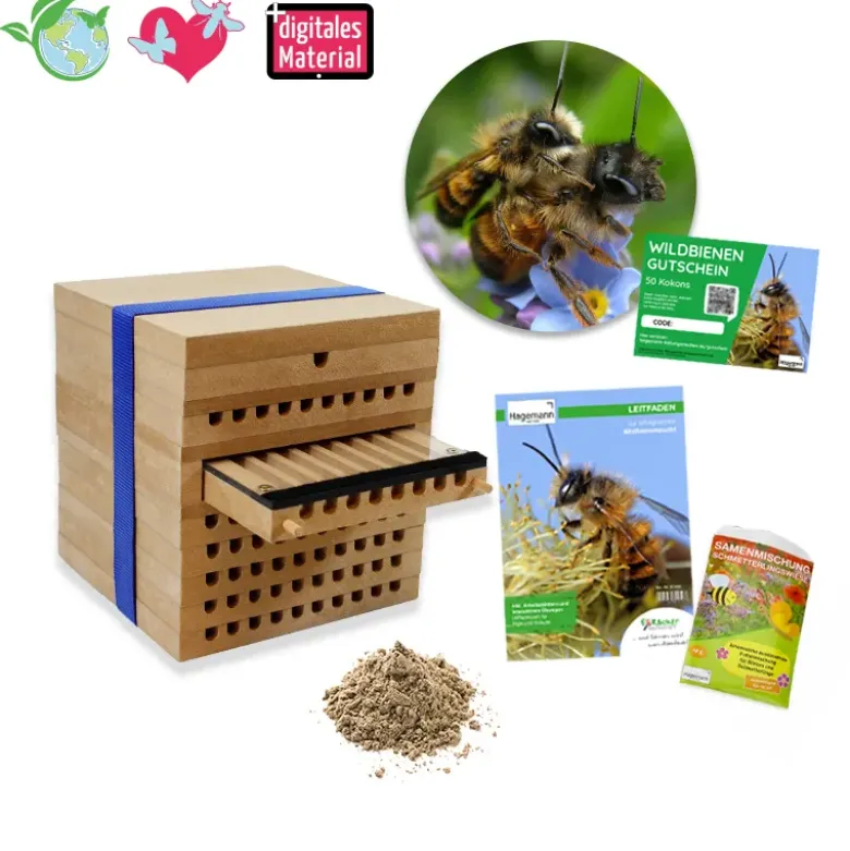 Gutschein-Set "Wildbienen", Gehörnte Mauerbiene, 5-tlg.