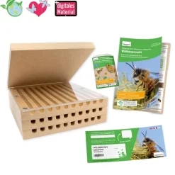 Gutschein-Set "Wildbienen" kompakt, Rote Mauerbiene, 5-tlg.