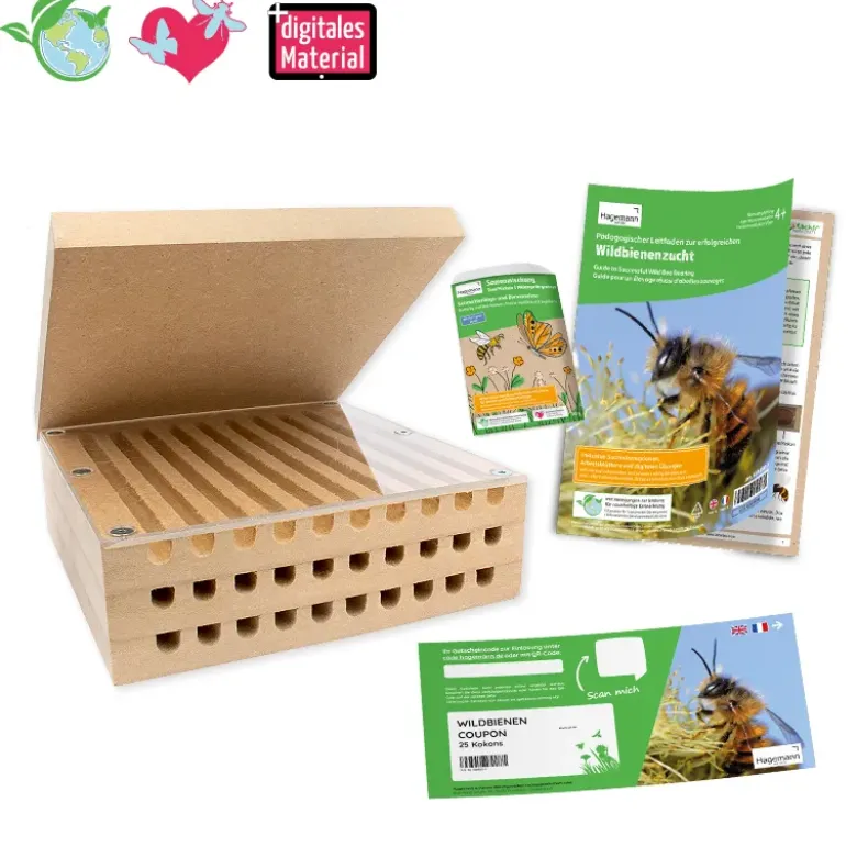 Gutschein-Set "Wildbienen" kompakt, Rote Mauerbiene, 5-tlg.