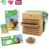 Gutschein-Set "Wildbienen", Rote Mauerbiene, 5-tlg.