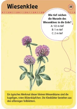 50 Heimische Blumen entdecken und bestimmen