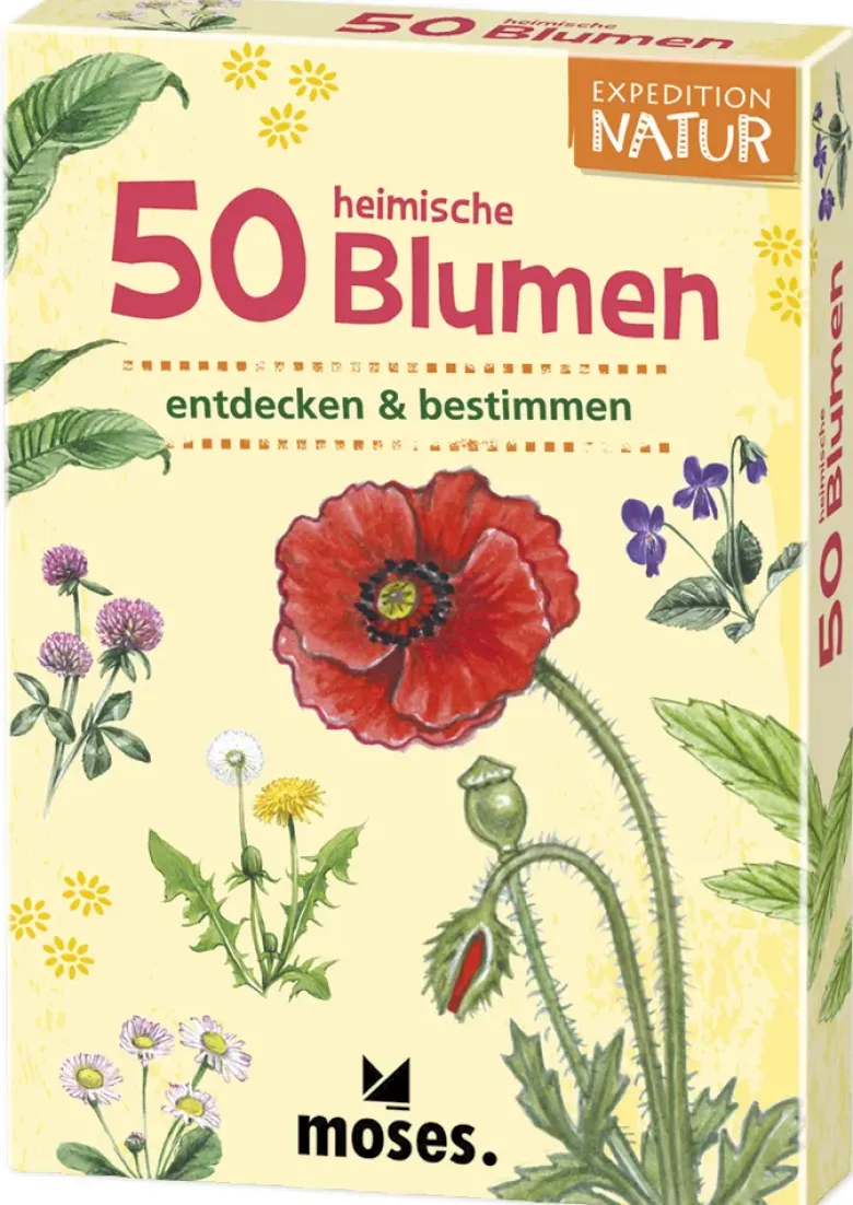 50 Heimische Blumen entdecken und bestimmen