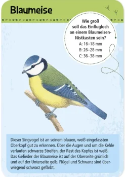 50 Heimische Vögel entdecken und bestimmen