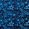 Hologrammkarton 25x35 cm, 230g/m², 5 Bogen
