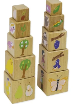 Holzwürfel "Lebenszyklus", 10 Stück