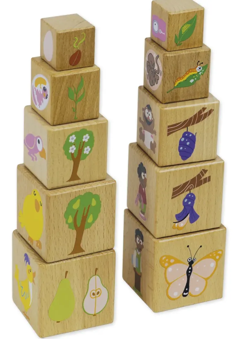 Holzwürfel "Lebenszyklus", 10 Stück
