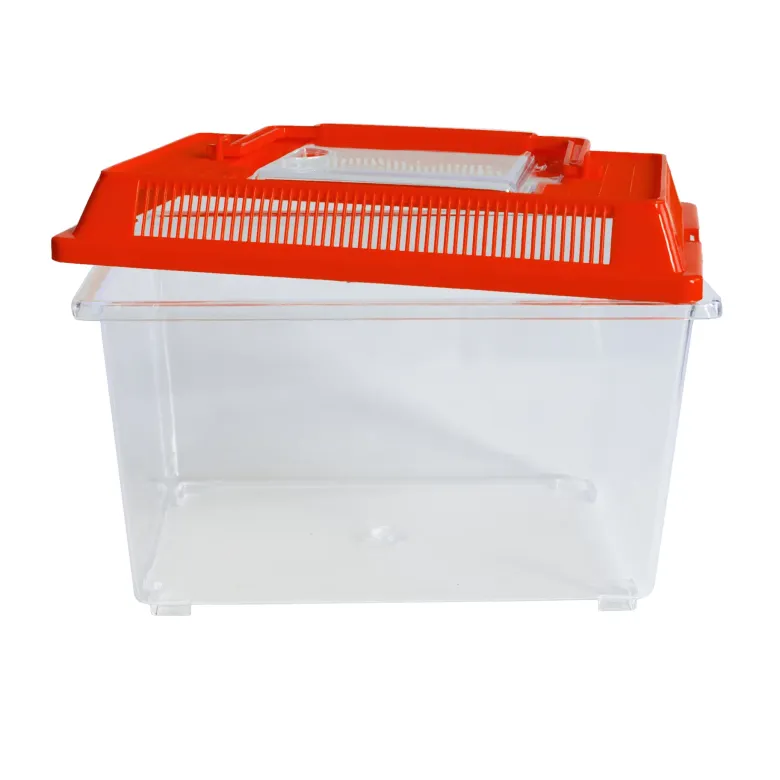 Insekten-Beobachtungsbox, aus Kunststoff