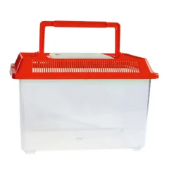 Insekten-Beobachtungsbox, aus Kunststoff