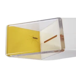 Insekten-Fänger "Snapy"