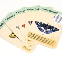 Kartenspiel "50 heimische Schmetterlinge, entdecken & bestimmen"