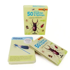 Kartenspiel "Insekten & Spinnen, entdecken & bestimmen"