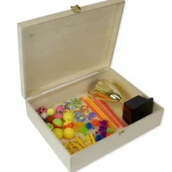 Klappdeckel-Box aus Holz A4-Plus, natur