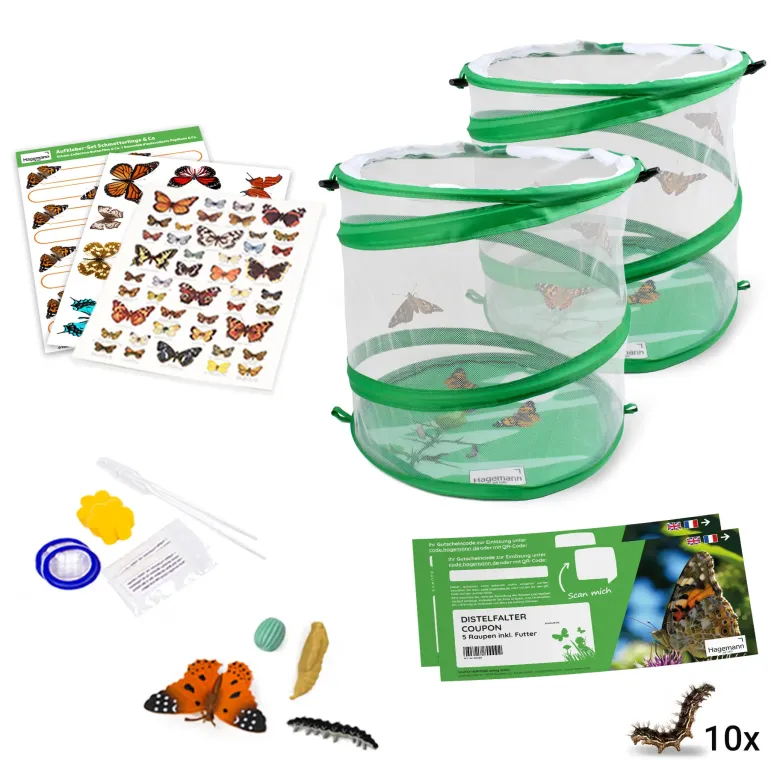 Klassen-Projektset "Tiere züchten + beobachten"