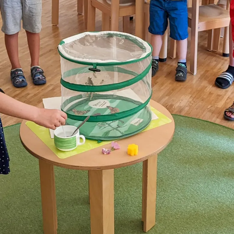 Klassen-Projektset "Tiere züchten + beobachten"
