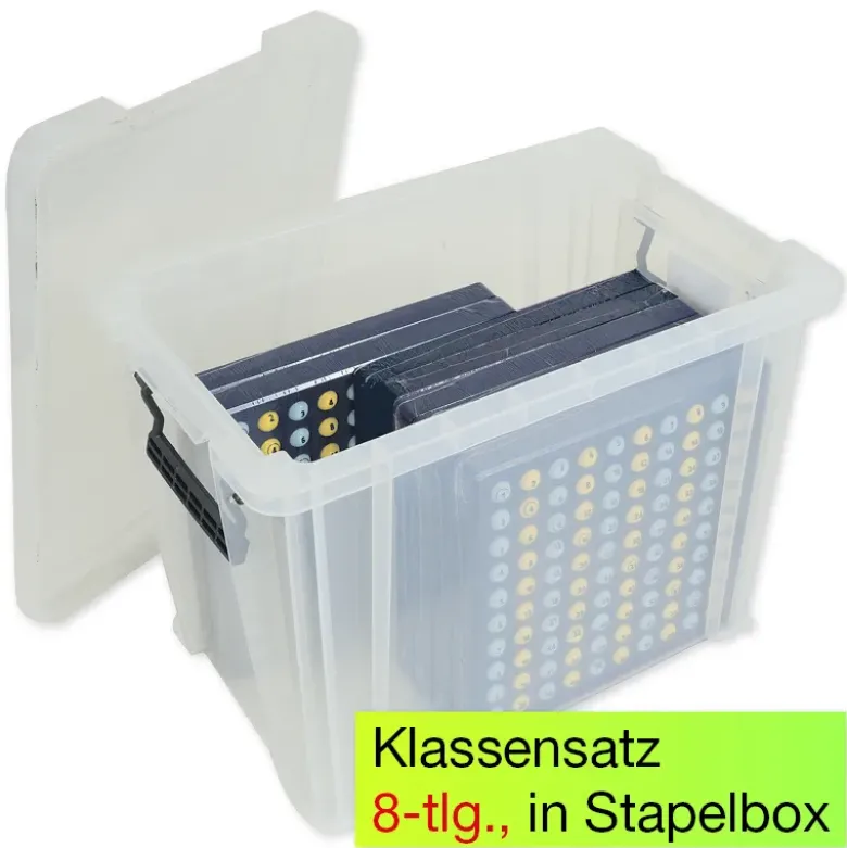 Klassensatz ABACO 1x1, Einmaleins-Tafel, 8-tlg., in Box